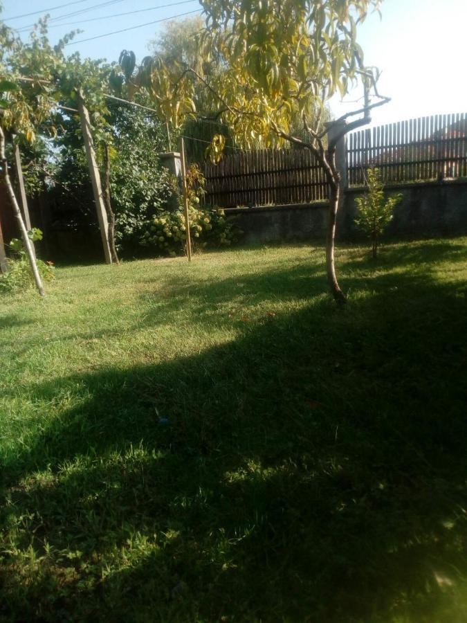 Къща За Гости Ягода Sapareva Banja Exteriör bild
